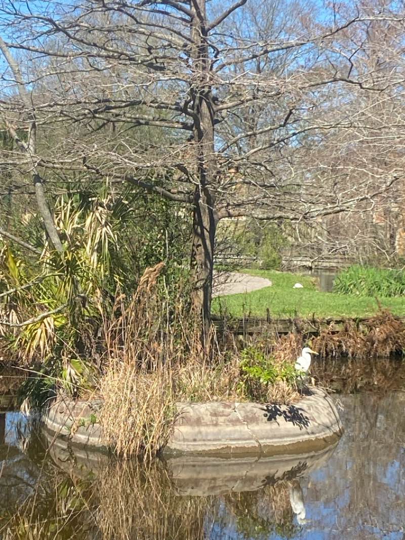 walking near me in Veterans Memorial Park in winter