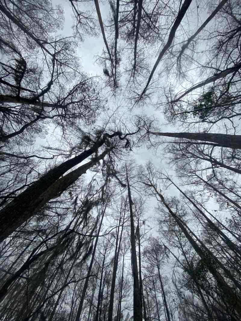 walking near me in Fairview Riverside State Park in spring