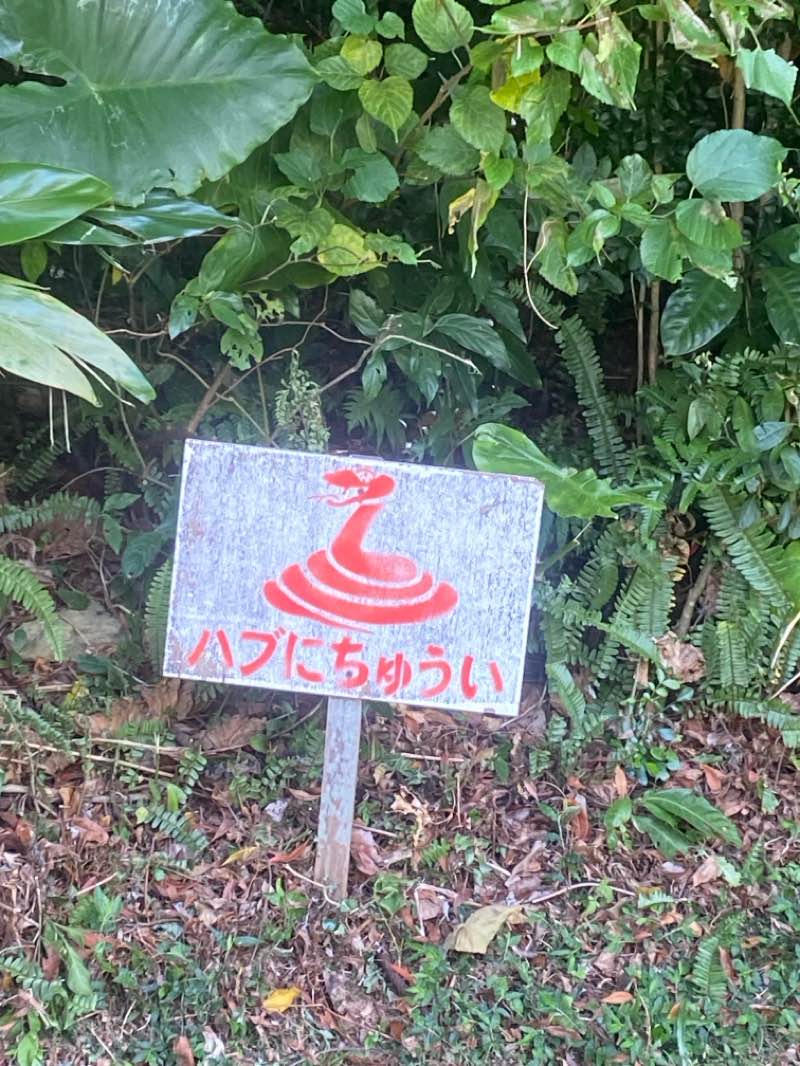 walking near me in 桃原公園 in summer