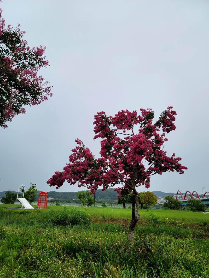 walking near me in Nakdonggang Sport For All Park in winter