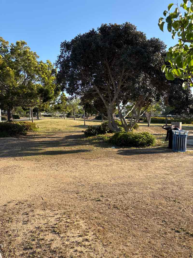 walking near me in Liberty Station NTC Park in spring