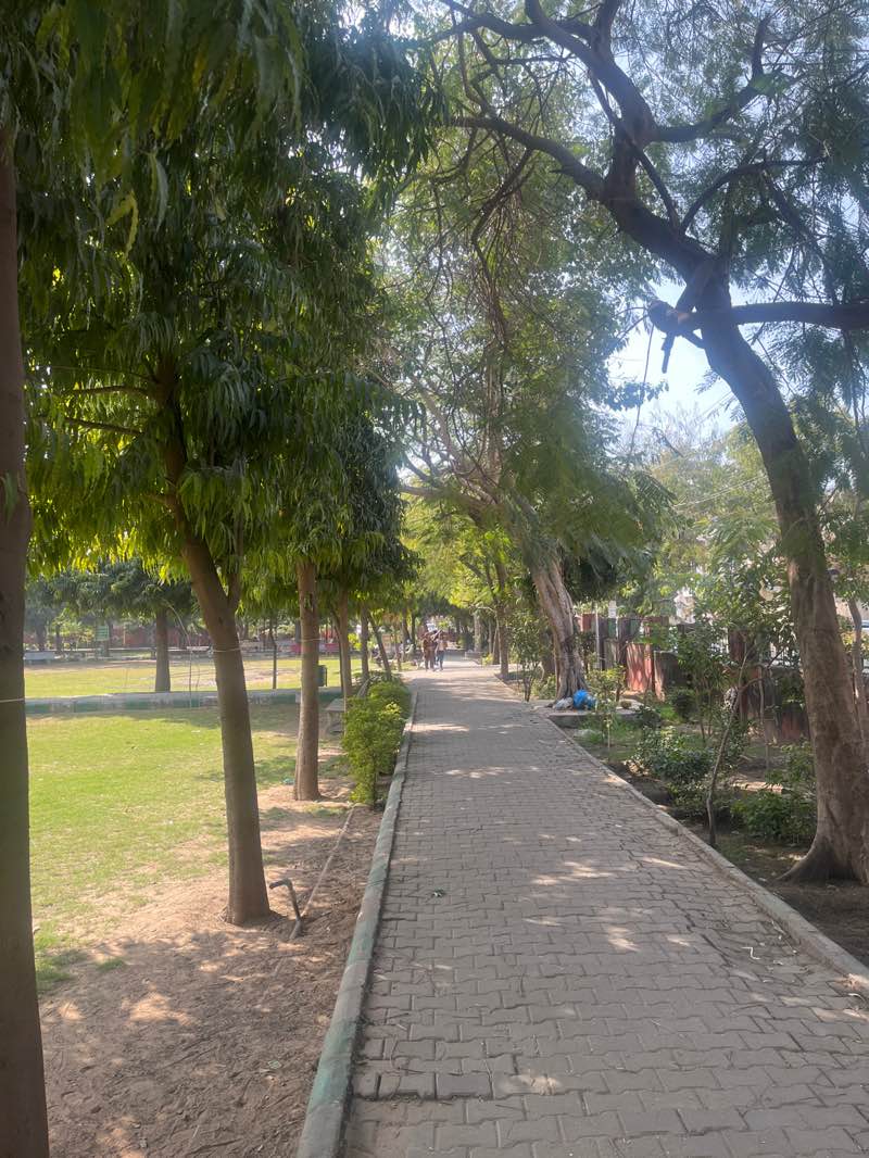 walking near me in Mahatama Gandi Nagar Park in winter