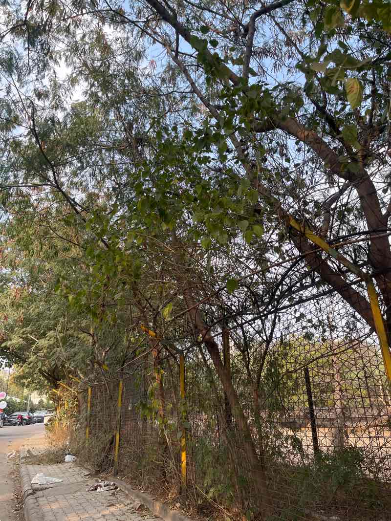 walking near me in Deer Park in winter