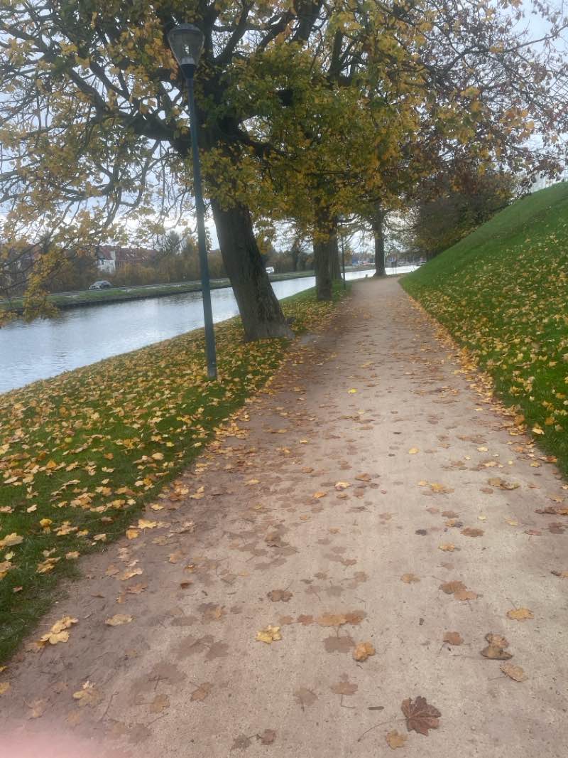 walking near me in Kazernevest in autumn