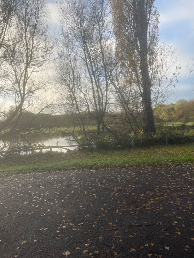 walking near me in Churchill Gardens in autumn