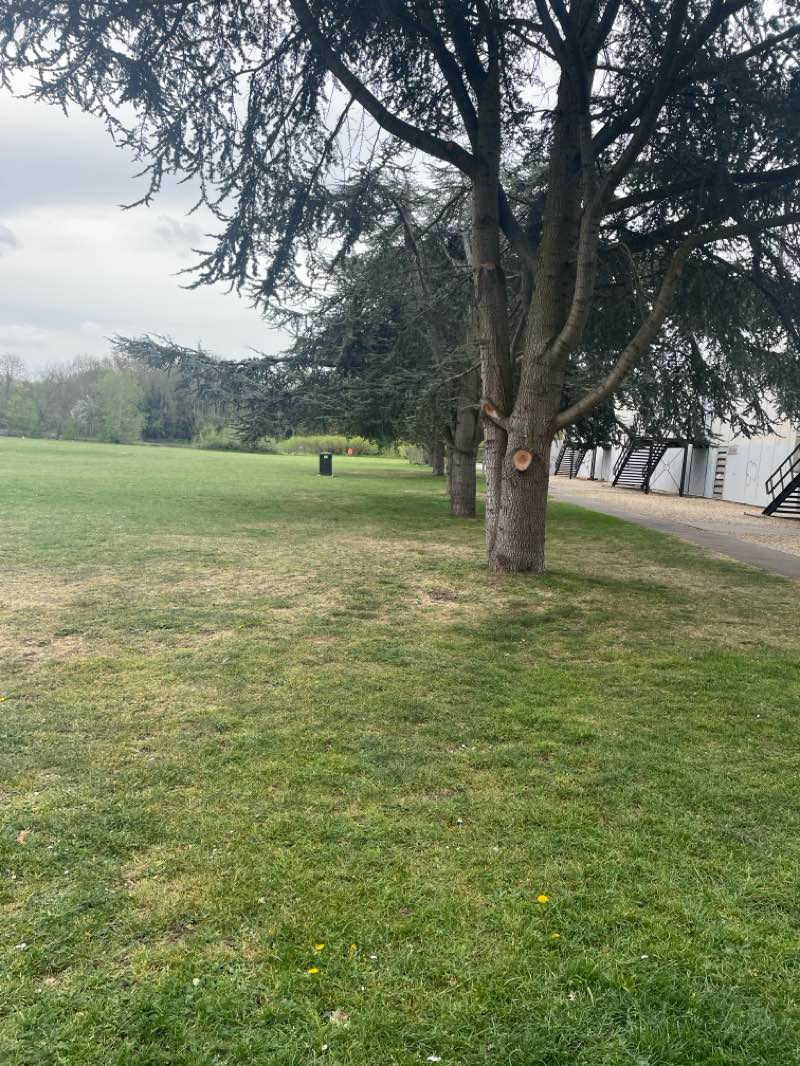 walking near me in Christ Church Meadow in spring