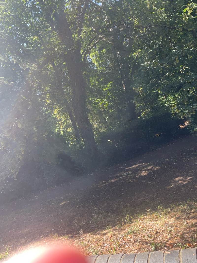 walking near me in The Greencroft in summer