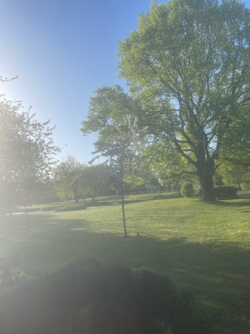 walking near me in Queen Elizabeth Gardens in spring