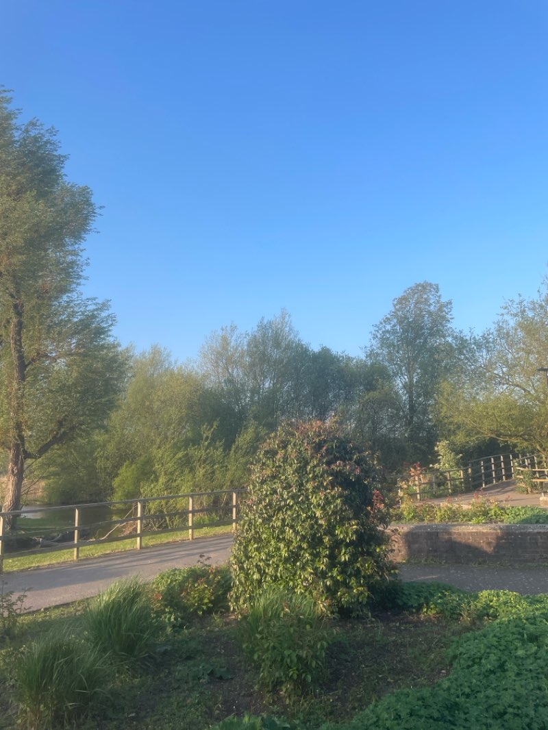 walking near me in The Close in spring