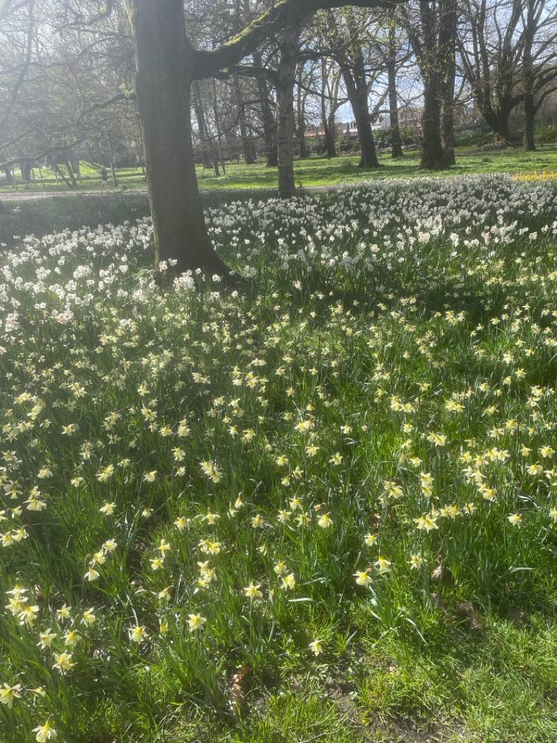 walking near me in Castle Green in spring