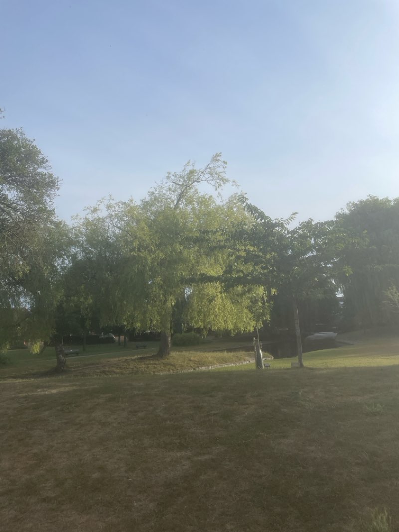 walking near me in The Close in summer