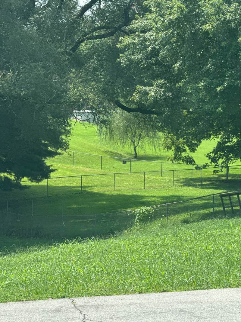 walking near me in Stetsor Park in summer