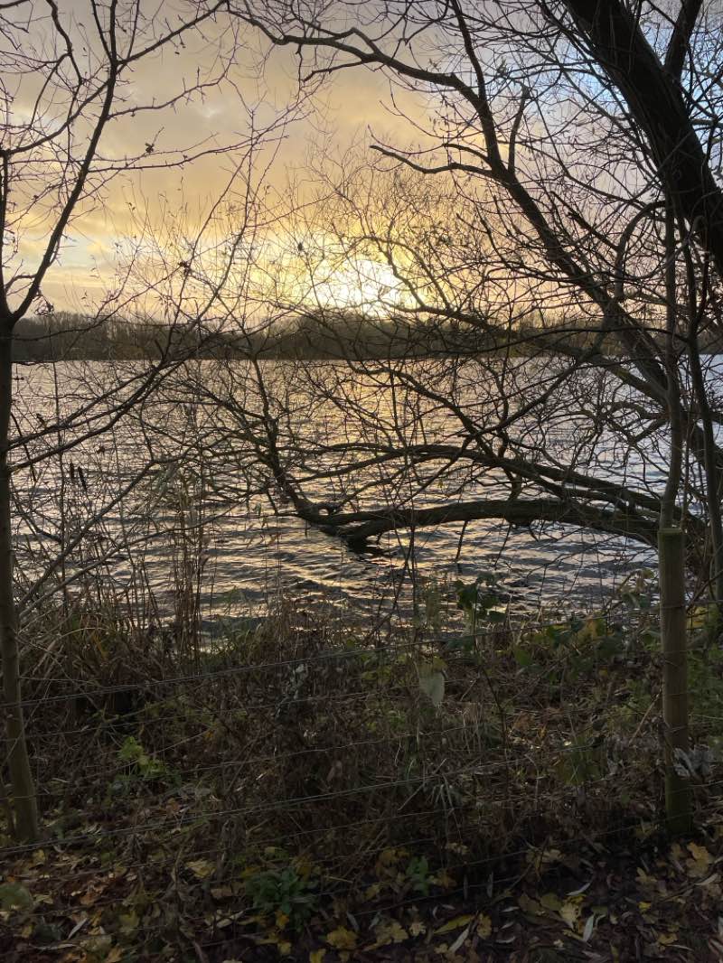 walking near me in Priory Country Park in winter