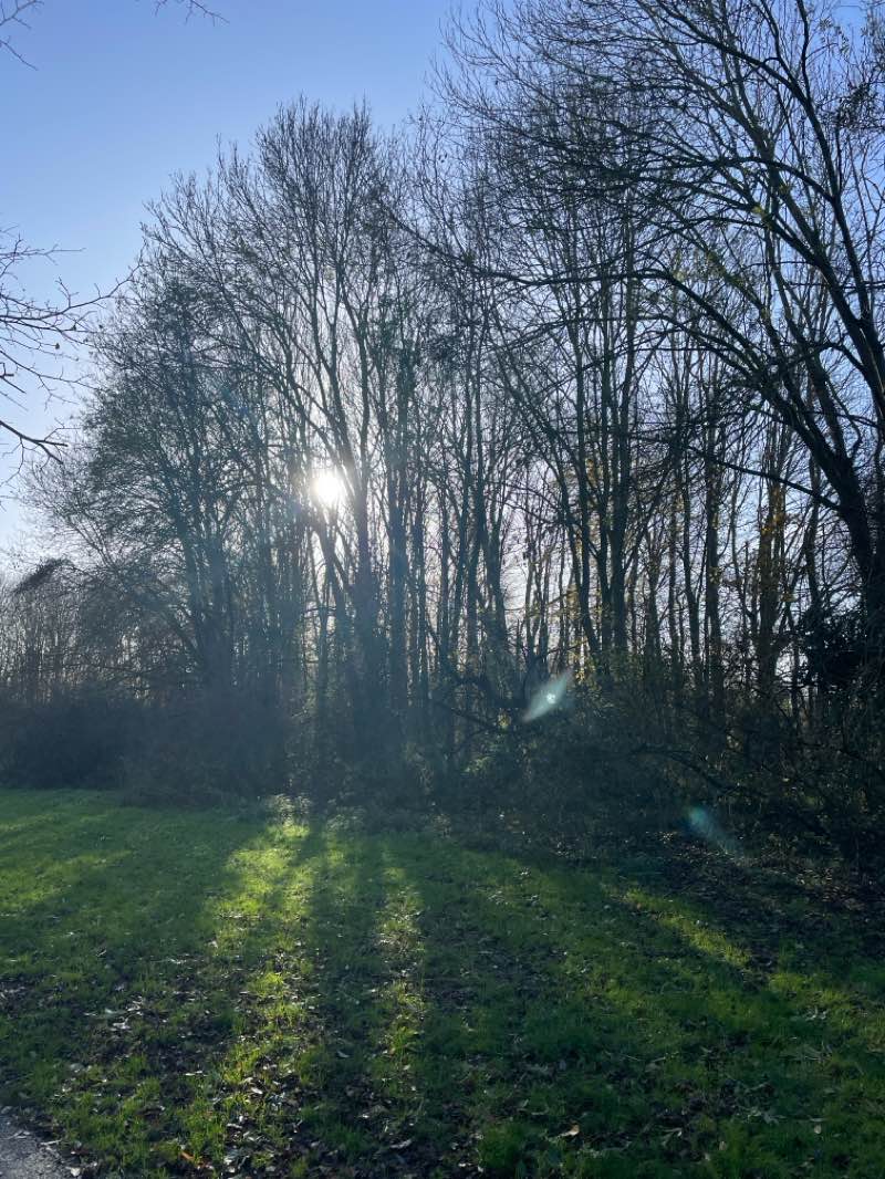 walking near me in Priory Country Park in winter
