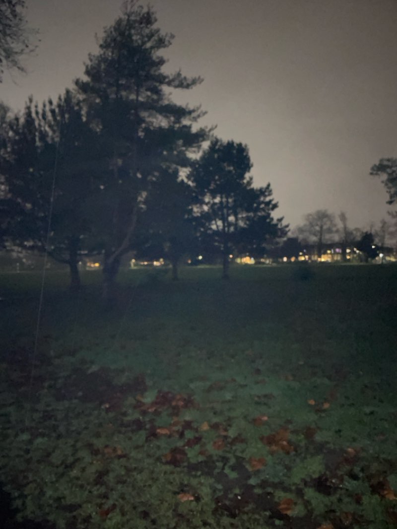 walking near me in Russell Park in winter