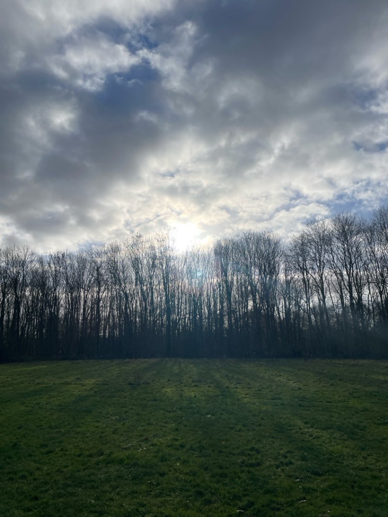 walking near me in Priory Country Park in winter