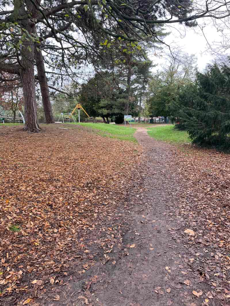 walking near me in Russell Park in autumn