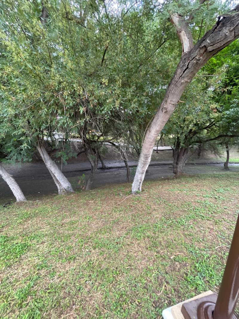 walking near me in Gran Parque San Nicolás in winter