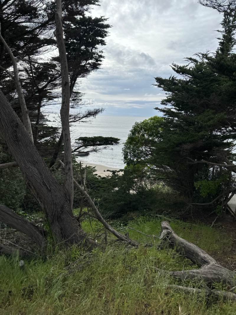 walking near me in China Beach in spring