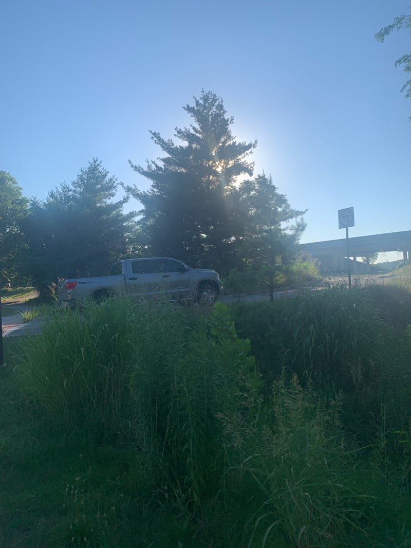 walking near me in Gordon Long Park in winter