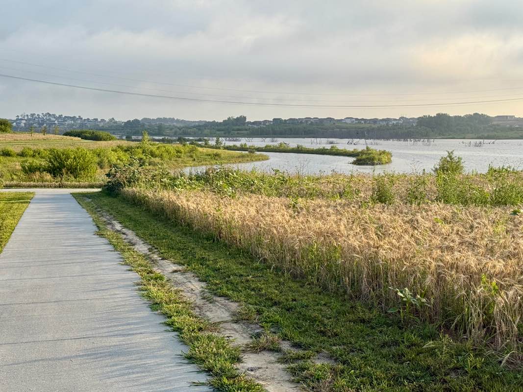 walking near me in Flanagan Lake Park in autumn