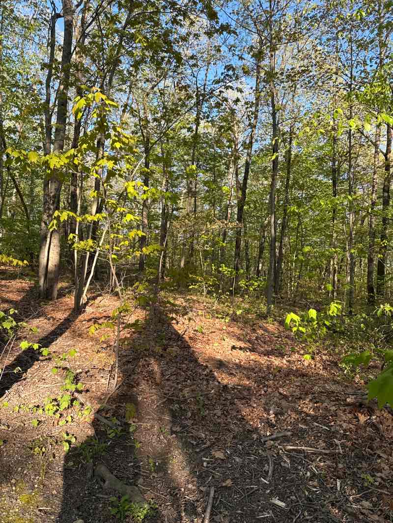 walking near me in Mount Holyoke Range State Park in spring