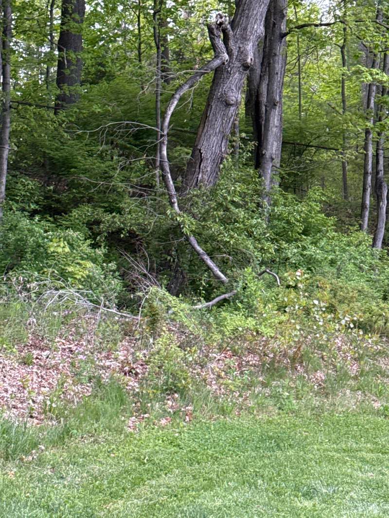 walking near me in Mill River Recreation Area in spring