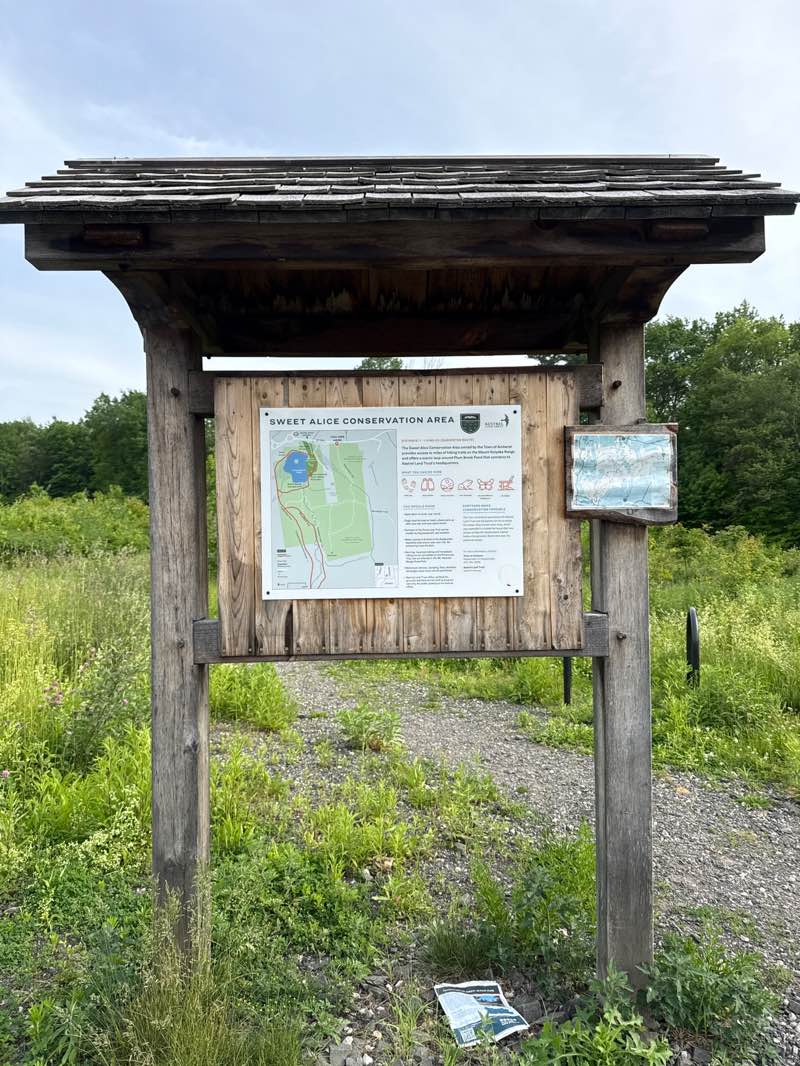 walking near me in Atkins Farm Conservation Area in summer