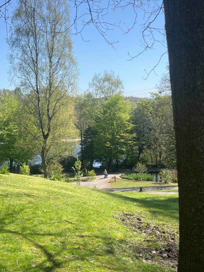 walking near me in Queens Park in spring