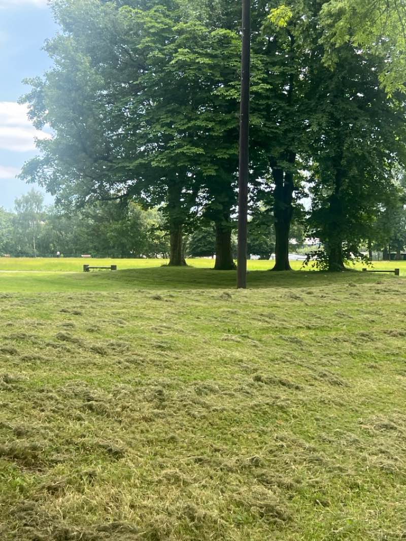 walking near me in Openshaw Park in summer