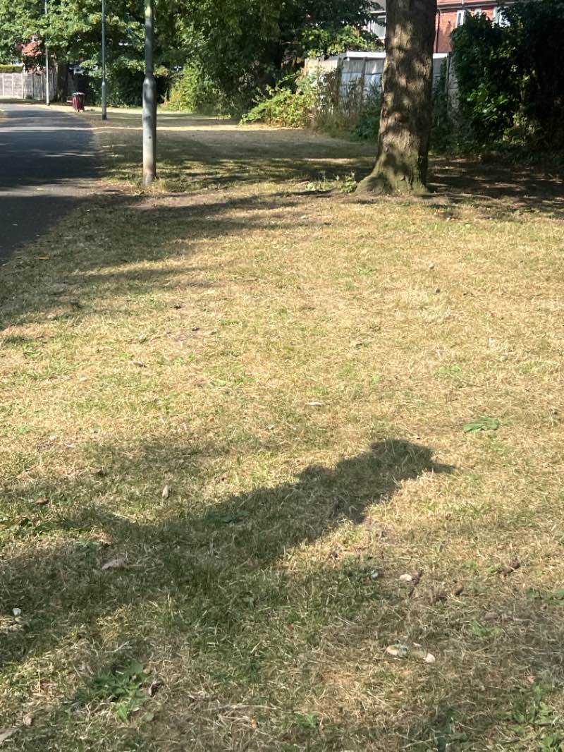 walking near me in Tayfield Road Park in summer