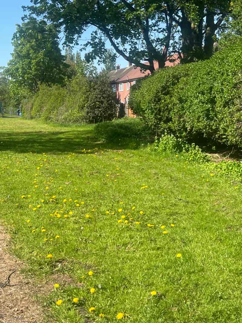 walking near me in Tayfield Road Park in spring