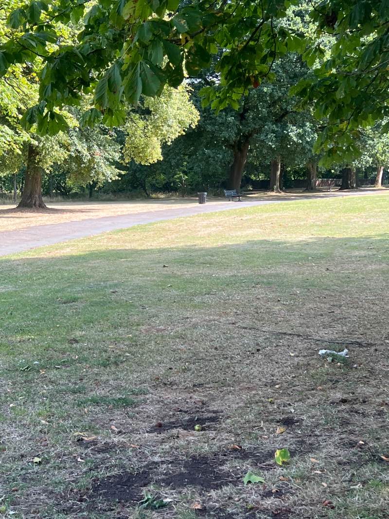 walking near me in Platt Fields Park in summer