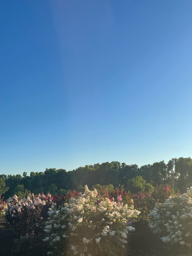 walking near me in Yukon City Park in winter