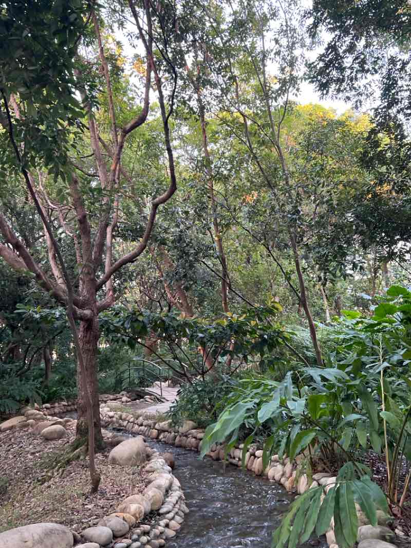 walking near me in Calligraphy Greenway in winter