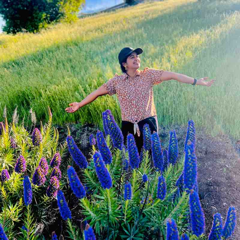 Reshma Subramaniam post 1