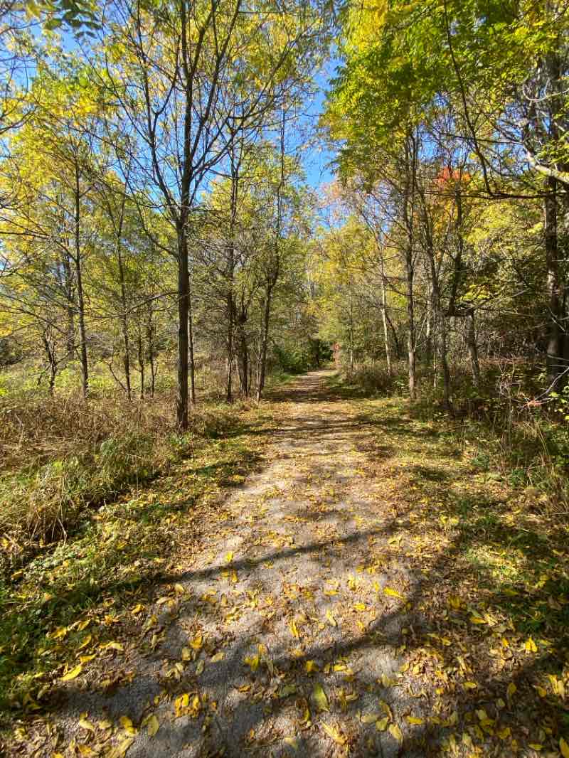 walking near me in Miller Drive Park in winter