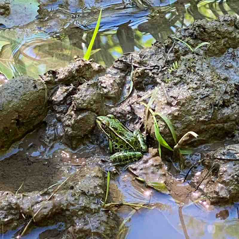 Kathy 🇨🇦🇹🇼 post 1