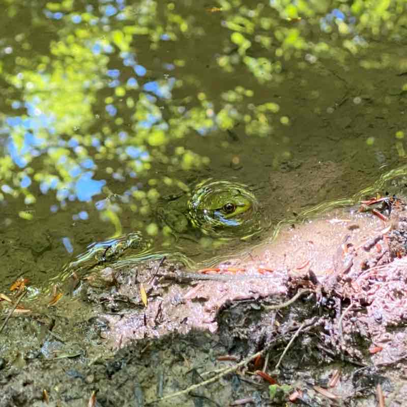 Kathy 🇨🇦🇹🇼 post 2