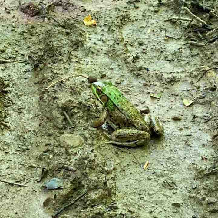 Kathy 🇨🇦🇹🇼 post 3