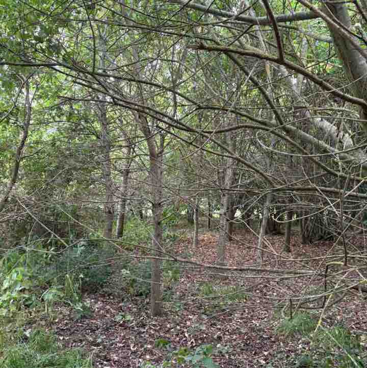 Keep Active & Healthy Belle Mitchell post image