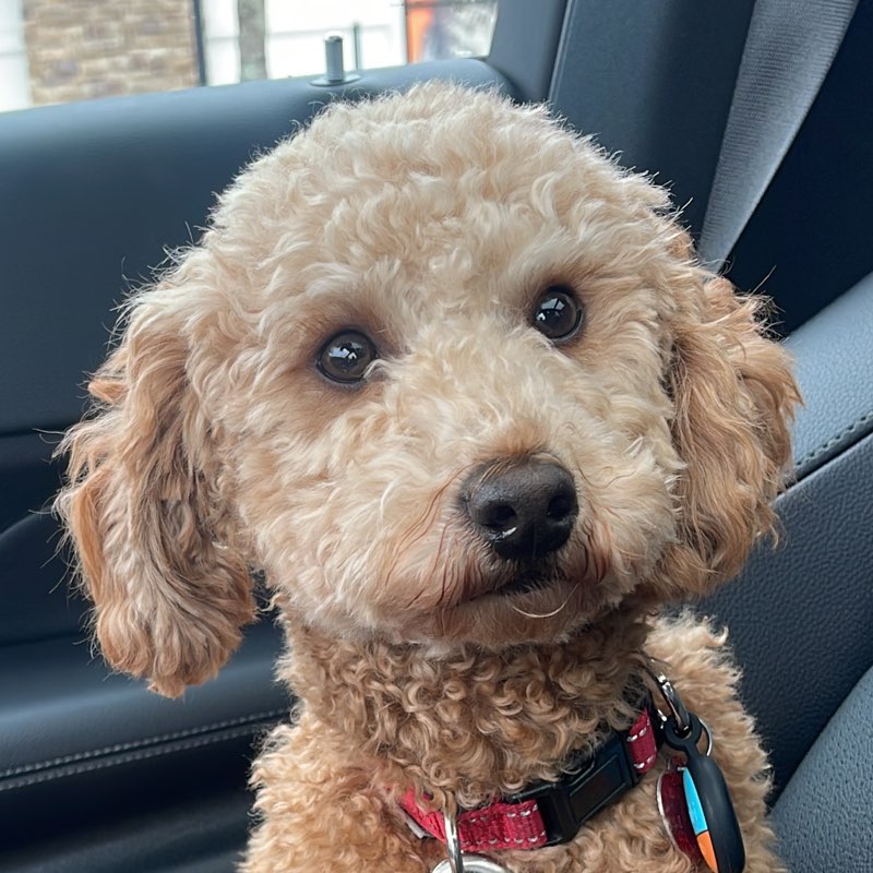 thiyagarajan profile