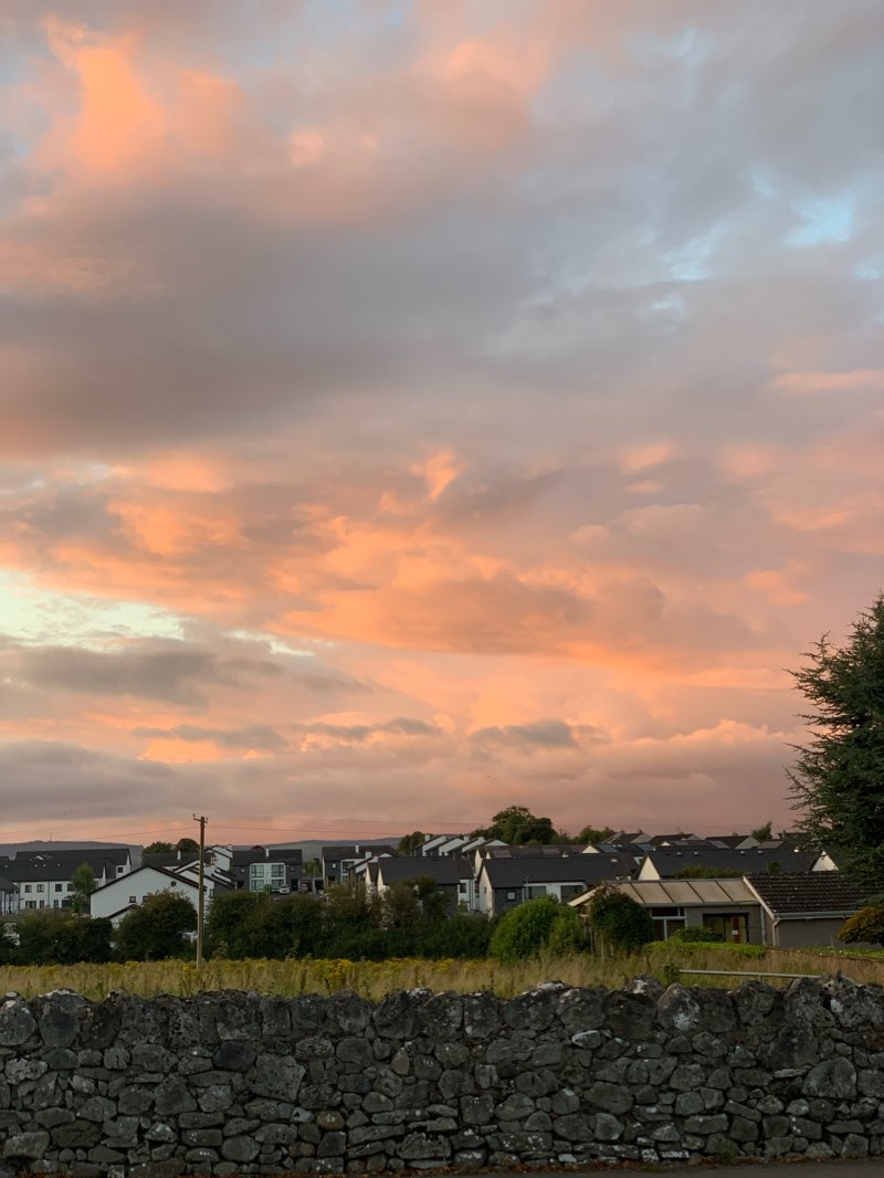 walking near me in Mungret Park in winter