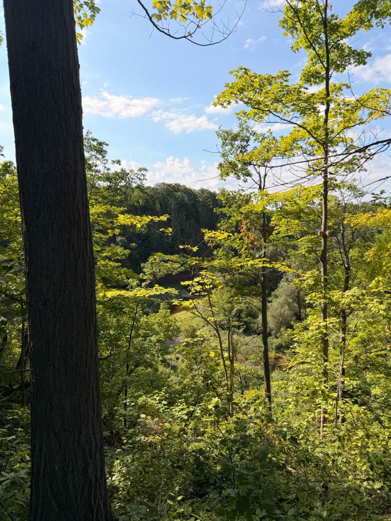 walking near me in Bronte Creek Provincial Park in summer
