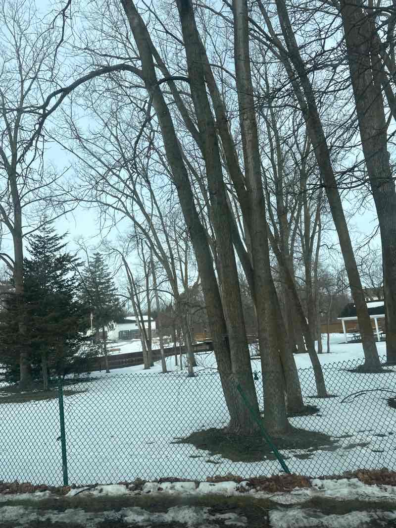 walking near me in Fish Hatchery Park / Waterford Township Historical Society Historic Village in winter