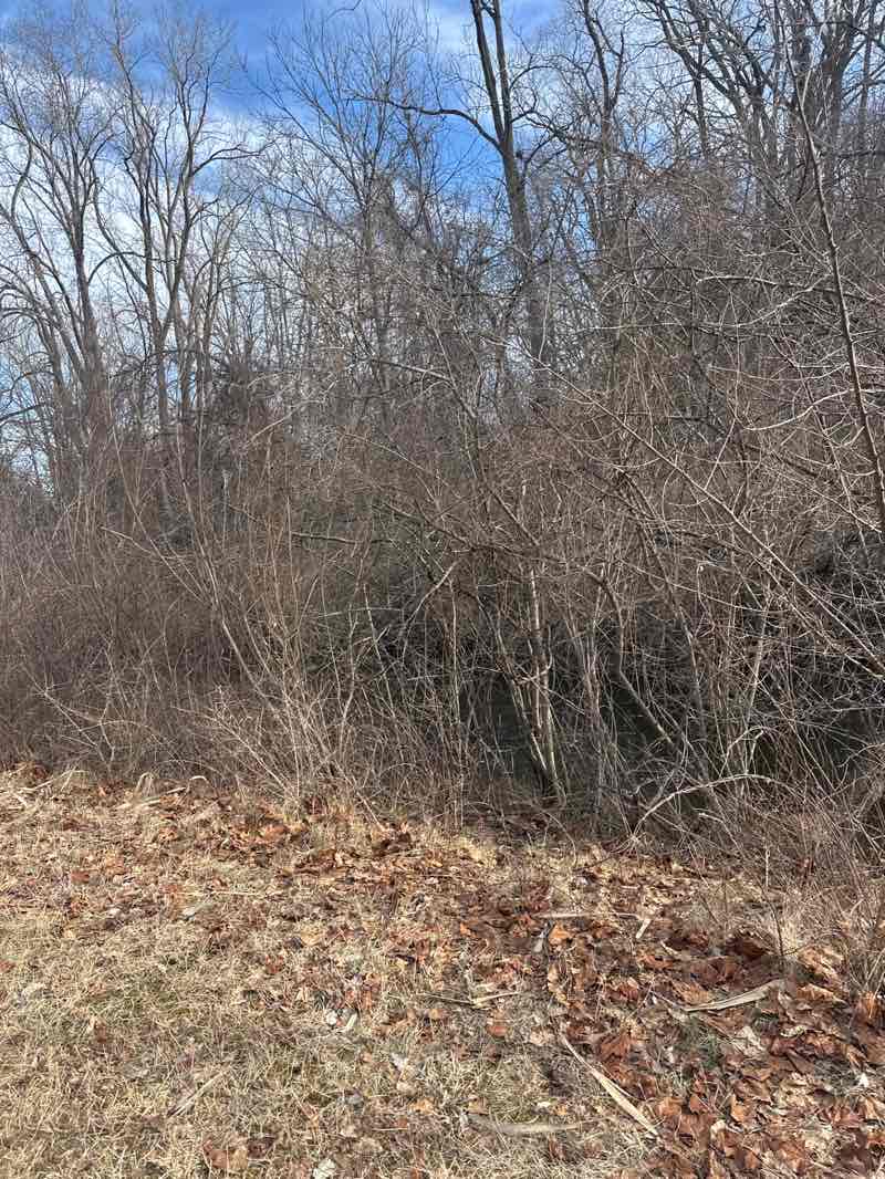 walking near me in Drayton Plains Nature Center in spring