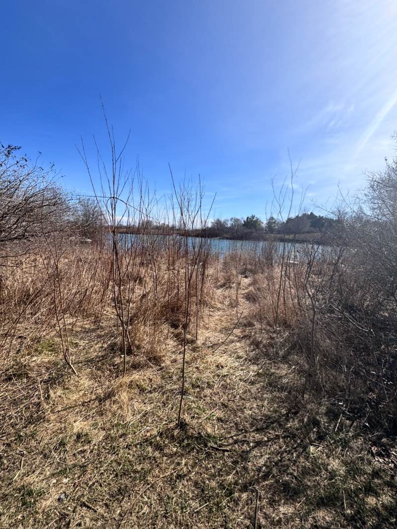 walking near me in Palace Pier Park in winter