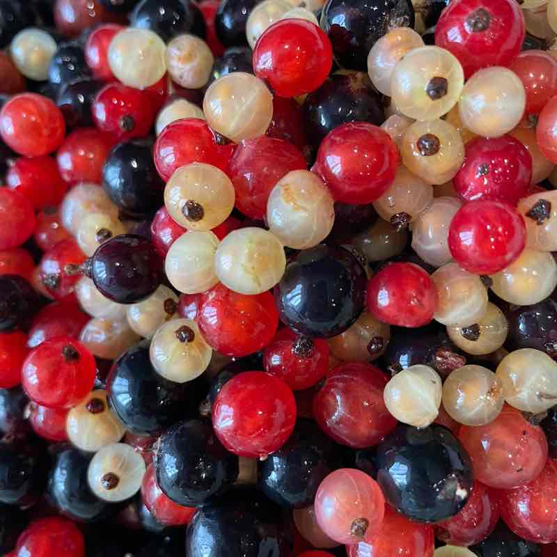 Ходоки 2.0 Аня Рр🔥 post image