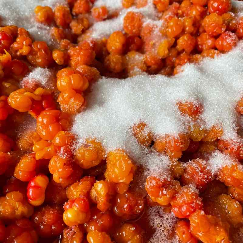 Ходоки 2.0 Аня Рр🔥 post image