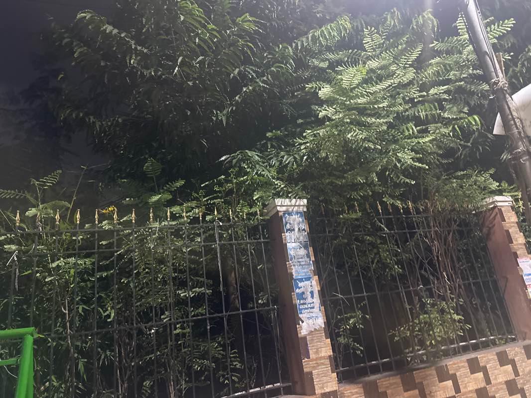 walking near me in Cantonment Park in autumn